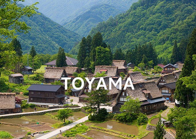 Cuando perdí mi cartera en Japón